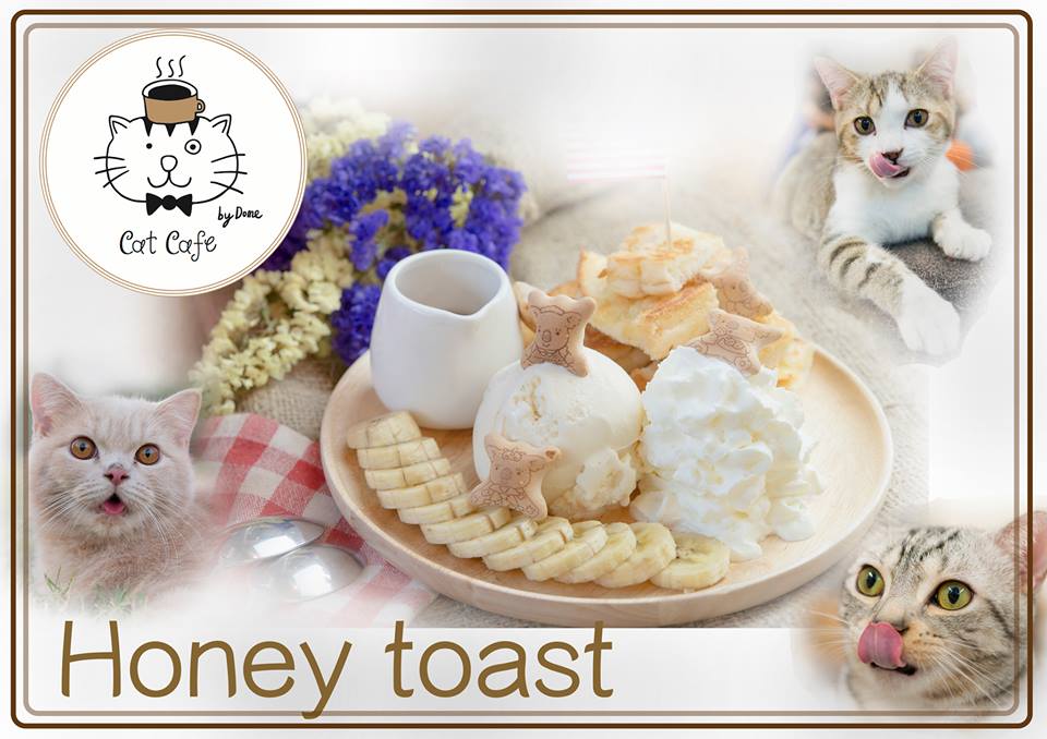 Cat Cafe by Dome (1)